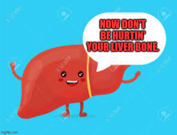 Broken Liver Bone | NOW DON'T BE HURTIN' YOUR LIVER BONE. | image tagged in talking liver | made w/ Imgflip meme maker