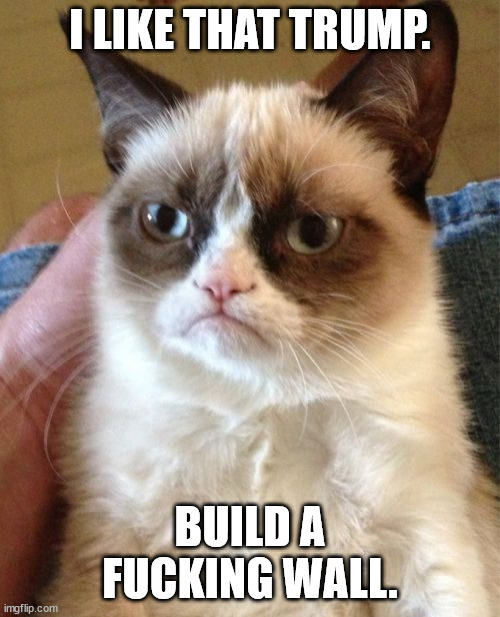 BUILD A WALL | I LIKE THAT TRUMP. BUILD A FUCKING WALL. | image tagged in memes,grumpy cat | made w/ Imgflip meme maker