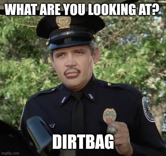 What are you looking at? | WHAT ARE YOU LOOKING AT? DIRTBAG | image tagged in harris police academy,funny memes | made w/ Imgflip meme maker