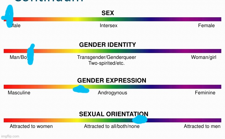 lgbtq spectrum | image tagged in lgbtq spectrum | made w/ Imgflip meme maker