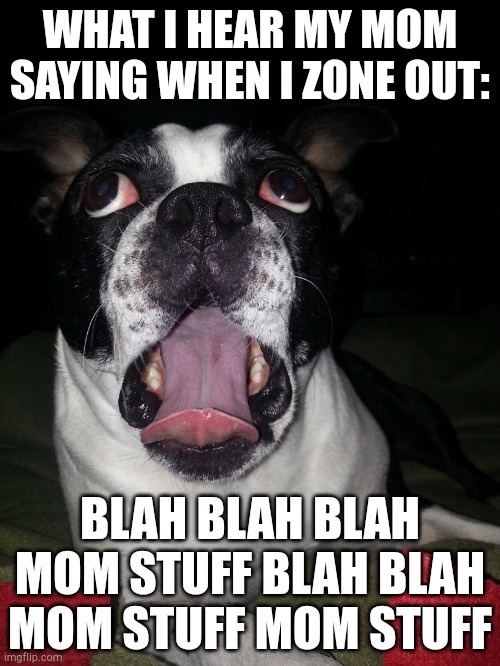 When I zone out while my mom is nagging at me | WHAT I HEAR MY MOM SAYING WHEN I ZONE OUT:; BLAH BLAH BLAH MOM STUFF BLAH BLAH MOM STUFF MOM STUFF | image tagged in blah blah blah blah blah | made w/ Imgflip meme maker