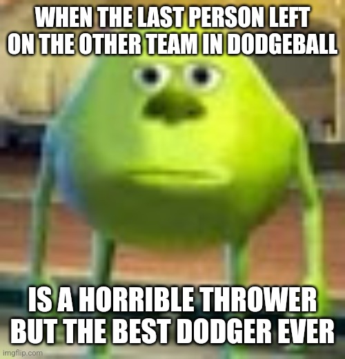 Relatable? Not sure. Sorry for crappy meme | WHEN THE LAST PERSON LEFT ON THE OTHER TEAM IN DODGEBALL; IS A HORRIBLE THROWER BUT THE BEST DODGER EVER | image tagged in sully wazowski | made w/ Imgflip meme maker