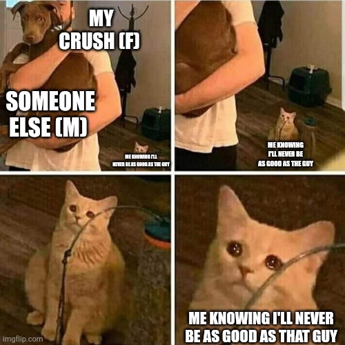 Man i'm sad | MY CRUSH (F); SOMEONE ELSE (M); ME KNOWING I'LL NEVER BE AS GOOD AS THE GUY; ME KNOWING I'LL NEVER BE AS GOOD AS THE GUY; ME KNOWING I'LL NEVER BE AS GOOD AS THAT GUY | image tagged in sad cat holding dog,i'm sad | made w/ Imgflip meme maker