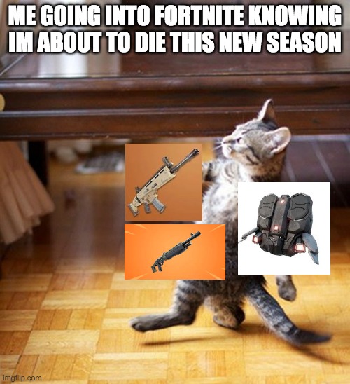 Cat Walking Like A Boss | ME GOING INTO FORTNITE KNOWING IM ABOUT TO DIE THIS NEW SEASON | image tagged in cat walking like a boss | made w/ Imgflip meme maker