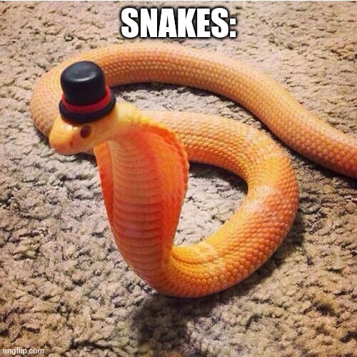 Dapper Snek | SNAKES: | image tagged in dapper snek | made w/ Imgflip meme maker