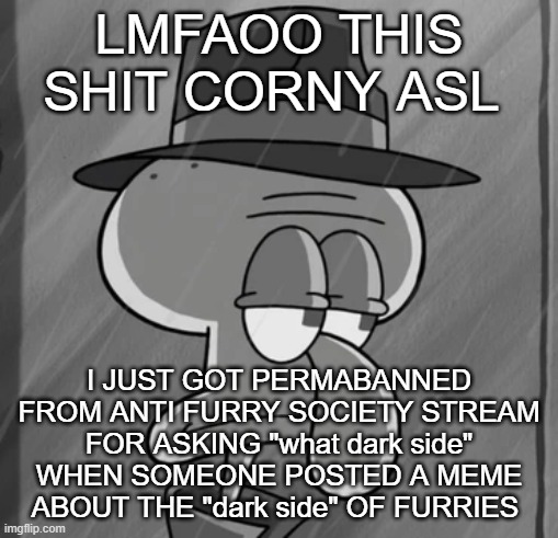 snowflake ass mods | LMFAOO THIS SHIT CORNY ASL; I JUST GOT PERMABANNED FROM ANTI FURRY SOCIETY STREAM FOR ASKING "what dark side" WHEN SOMEONE POSTED A MEME ABOUT THE "dark side" OF FURRIES | image tagged in squid noir | made w/ Imgflip meme maker