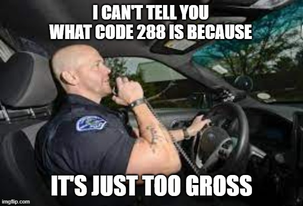 memes by Brad - I'd tell you what the police code 288 is but it's too gross | image tagged in funny,fun,police,humor,play on words,funny meme | made w/ Imgflip meme maker
