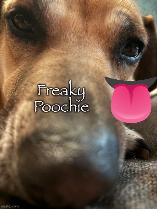 This goober | Freaky Poochie | made w/ Imgflip meme maker