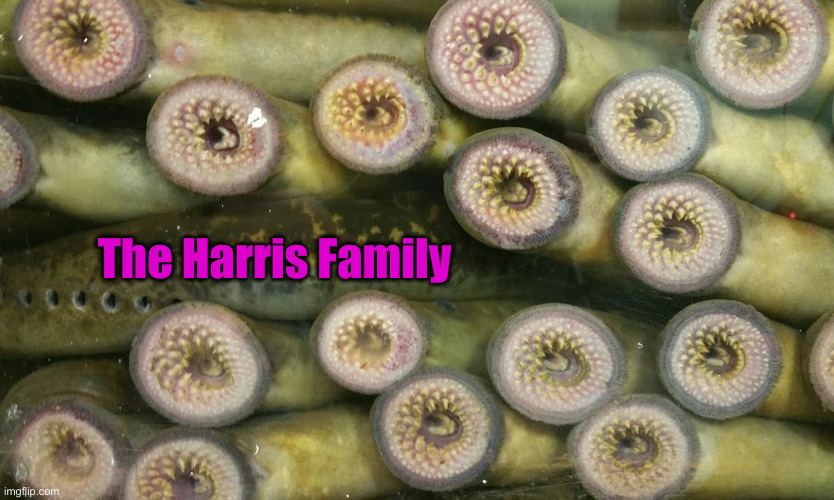 The Harris Family | made w/ Imgflip meme maker