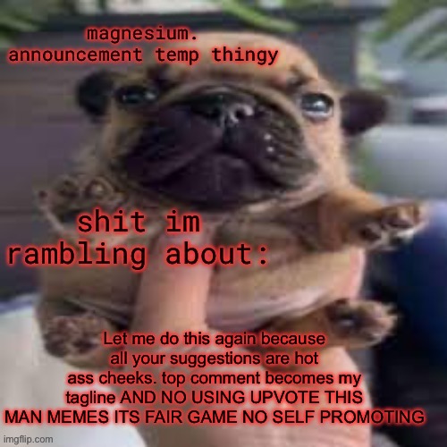 pug temp | Let me do this again because all your suggestions are hot ass cheeks. top comment becomes my tagline AND NO USING UPVOTE THIS MAN MEMES ITS FAIR GAME NO SELF PROMOTING | image tagged in pug temp | made w/ Imgflip meme maker