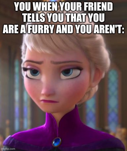 ugh are you serious right now | YOU WHEN YOUR FRIEND TELLS YOU THAT YOU ARE A FURRY AND YOU AREN'T: | image tagged in seriously face | made w/ Imgflip meme maker