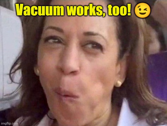 Kamala Harris | Vacuum works, too! ? | image tagged in kamala harris | made w/ Imgflip meme maker