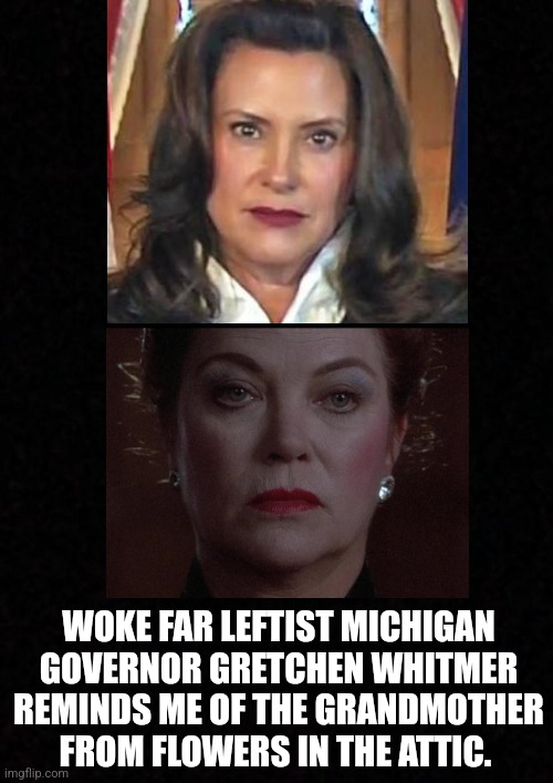 Blank  | WOKE FAR LEFTIST MICHIGAN GOVERNOR GRETCHEN WHITMER REMINDS ME OF THE GRANDMOTHER FROM FLOWERS IN THE ATTIC. | made w/ Imgflip meme maker