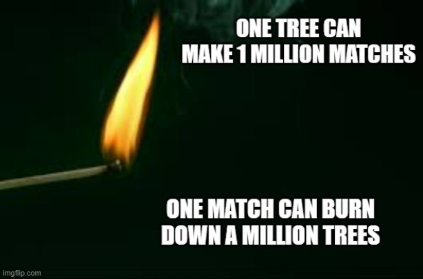 memes by Brad - 1 match can burn 1 million trees, 1 tree can make 1 million matches | image tagged in funny,fun,repost,trees,matches,humor | made w/ Imgflip meme maker