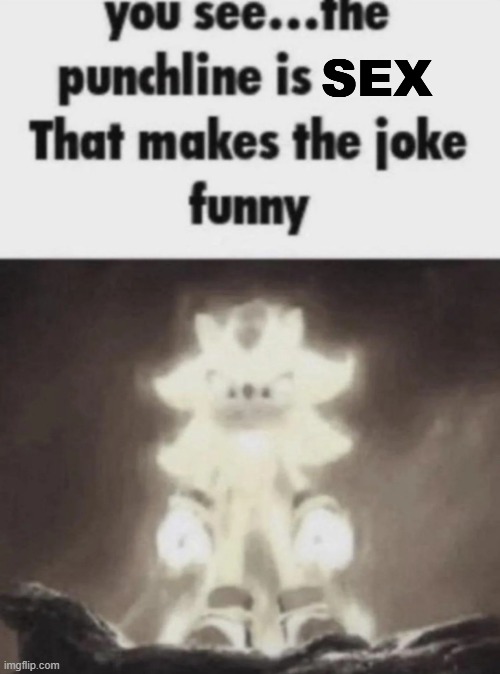 You see the punchline is that makes the joke funny shadow | SEX | image tagged in you see the punchline is that makes the joke funny shadow | made w/ Imgflip meme maker