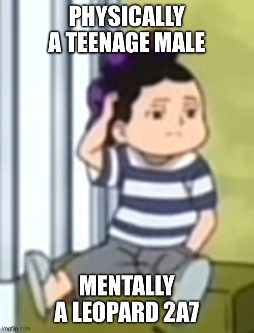 Mineta | PHYSICALLY A TEENAGE MALE; MENTALLY A LEOPARD 2A7 | image tagged in mineta | made w/ Imgflip meme maker