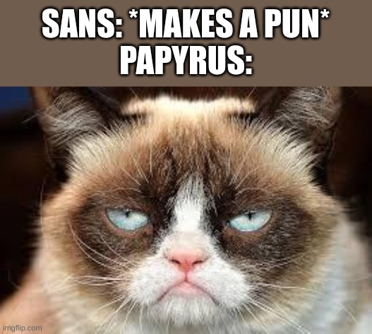 not funny | SANS: *MAKES A PUN*
PAPYRUS: | image tagged in not funny | made w/ Imgflip meme maker