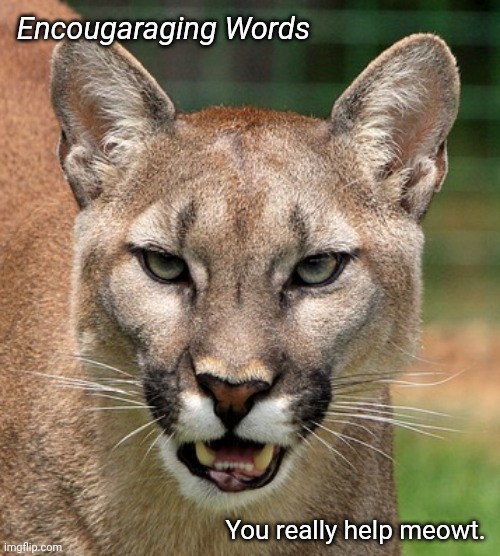 Encougaraging words | Encougaraging Words; You really help meowt. | image tagged in encougaraging words | made w/ Imgflip meme maker