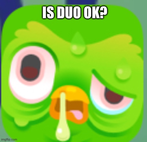 I think i killed him...... | IS DUO OK? | image tagged in duolingo,sad,tired | made w/ Imgflip meme maker