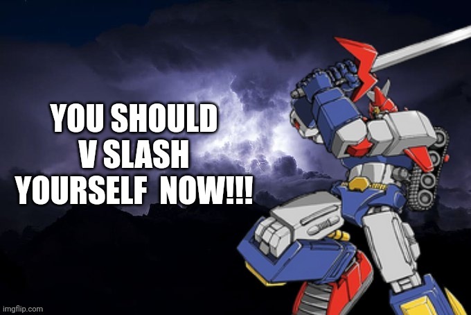 You should  V slash yourself now | image tagged in you should v slash yourself now | made w/ Imgflip meme maker