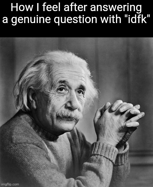 Einstein | How I feel after answering a genuine question with "idfk" | image tagged in einstein | made w/ Imgflip meme maker