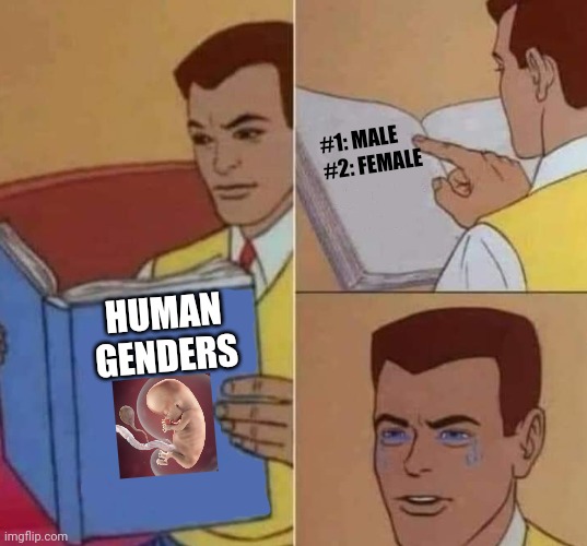 Peter Parker Reading Book & Crying | HUMAN GENDERS #1: MALE

#2: FEMALE | image tagged in peter parker reading book crying | made w/ Imgflip meme maker