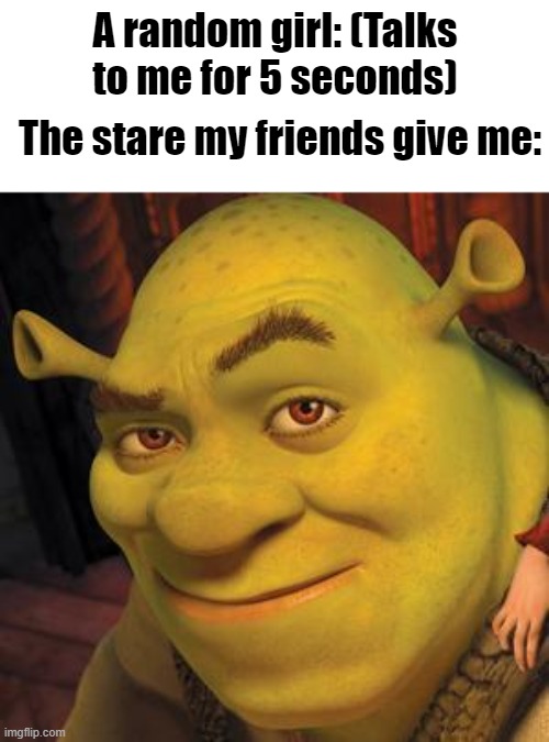 Female Contact. | A random girl: (Talks to me for 5 seconds); The stare my friends give me: | image tagged in shrek sexy face | made w/ Imgflip meme maker