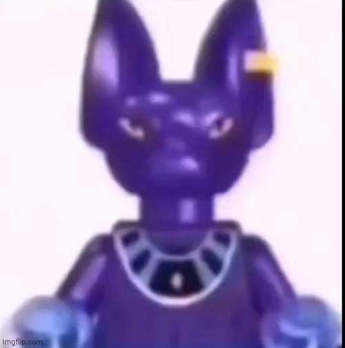 what a nice purple cat i wonder what he has to say | image tagged in beerus | made w/ Imgflip meme maker