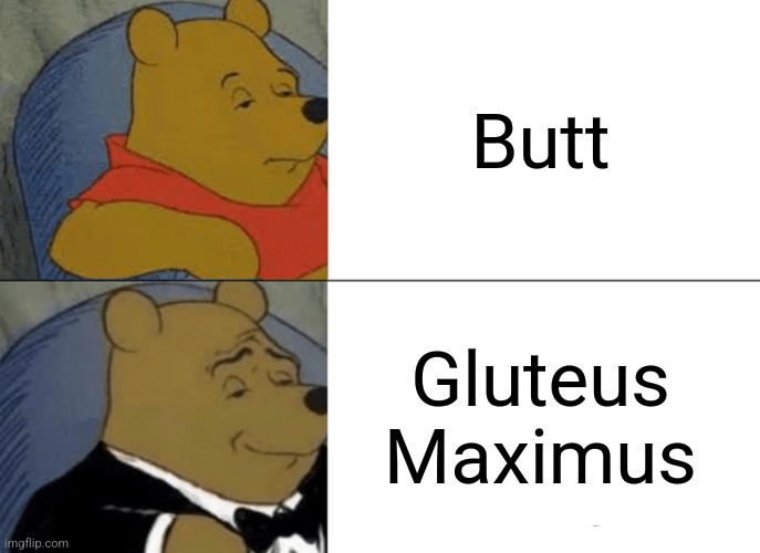 The Butt... | Butt; Gluteus Maximus | image tagged in memes,tuxedo winnie the pooh,butt,funny,why,funny but true | made w/ Imgflip meme maker