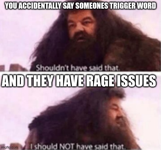 if you wanna get to know someone ask them whats their trigger word, trust me | YOU ACCIDENTALLY SAY SOMEONES TRIGGER WORD; AND THEY HAVE RAGE ISSUES | image tagged in shouldn't have said that,trigger words | made w/ Imgflip meme maker