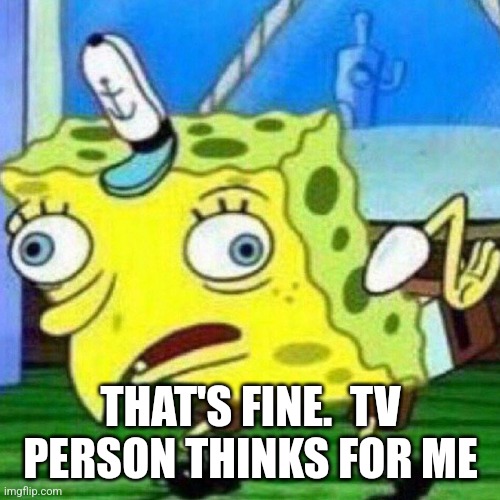 triggerpaul | THAT'S FINE.  TV PERSON THINKS FOR ME | image tagged in triggerpaul | made w/ Imgflip meme maker