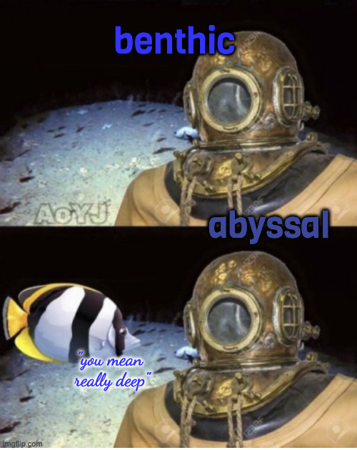 Deep sea diver under pressure | abyssal benthic "you mean 
really deep" | image tagged in deep sea diver under pressure | made w/ Imgflip meme maker