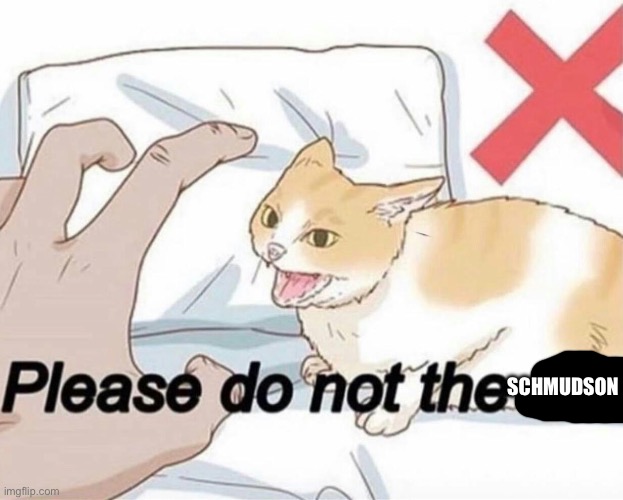 Please do not the cat | SCHMUDSON | image tagged in please do not the cat | made w/ Imgflip meme maker