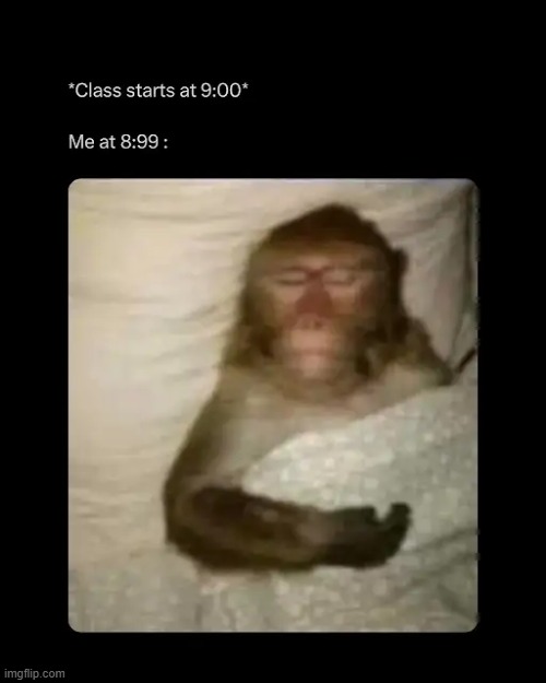 image tagged in memes | made w/ Imgflip meme maker