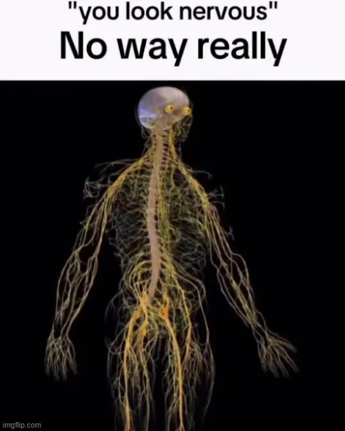 image tagged in memes | made w/ Imgflip meme maker