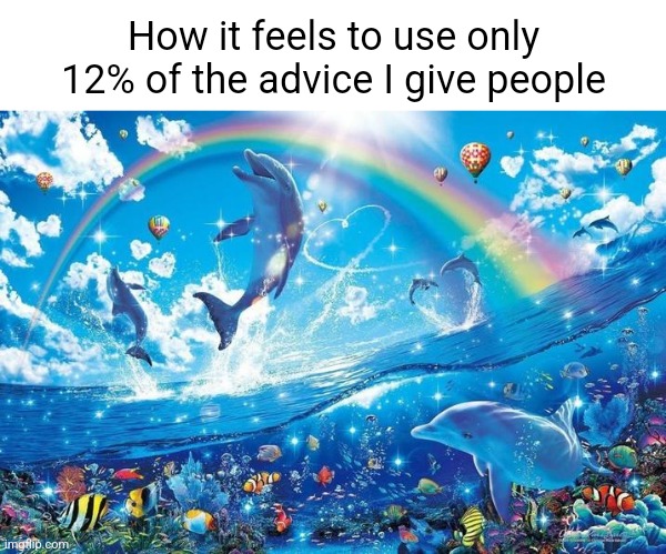 Happy dolphin rainbow | How it feels to use only 12% of the advice I give people | image tagged in happy dolphin rainbow | made w/ Imgflip meme maker