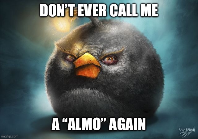 angry birds bomb | DON’T EVER CALL ME A “ALMO” AGAIN | image tagged in angry birds bomb | made w/ Imgflip meme maker