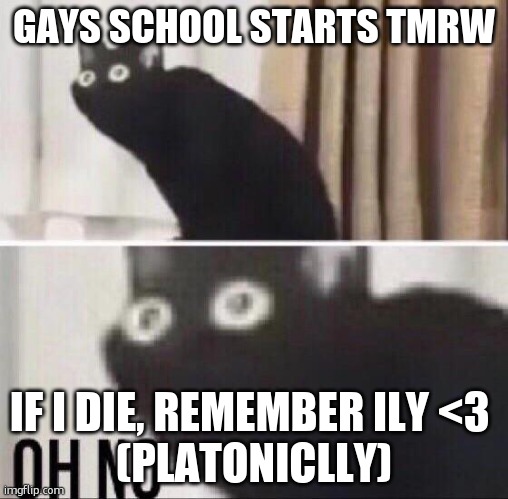 also i think i might be greyromantic | GAYS SCHOOL STARTS TMRW; IF I DIE, REMEMBER ILY <3 

(PLATONICLLY) | image tagged in oh no cat | made w/ Imgflip meme maker