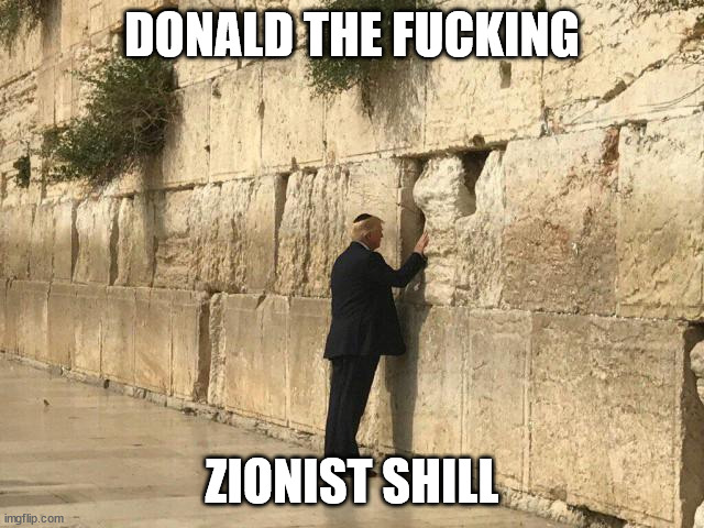 DONALD THE FUCKING ZIONIST SHILL | image tagged in donald shill | made w/ Imgflip meme maker