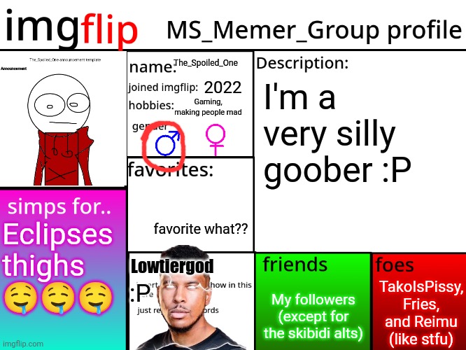 Me fr | The_Spoiled_One; 2022; I'm a very silly goober :P; Gaming, making people mad; favorite what?? Eclipses thighs 🤤🤤🤤; Lowtiergod; TakoIsPissy, Fries, and Reimu (like stfu); :P; My followers (except for the skibidi alts) | image tagged in msmg profile | made w/ Imgflip meme maker