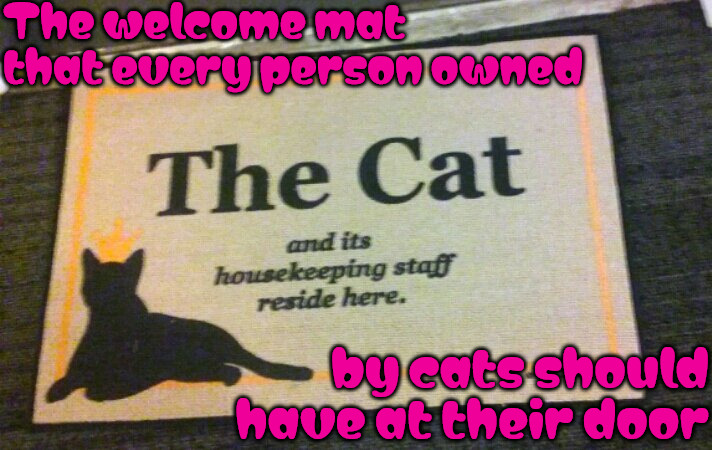 People Owned By Cats | The welcome mat that every person owned; by cats should have at their door | image tagged in memes,cats,owned,staff,turds,human slaves | made w/ Imgflip meme maker