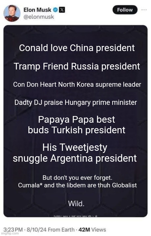 "And she extinctionist. I smart" | Conald love China president; Tramp Friend Russia president; Con Don Heart North Korea supreme leader; Dadty DJ praise Hungary prime minister; Papaya Papa best buds Turkish president; His Tweetjesty snuggle Argentina president; But don't you ever forget. Cumala* and the libdem are thuh Globalist; *Which I guess is what we're going with. I- Idk | image tagged in elon musk,logic,reason,conservative logic | made w/ Imgflip meme maker