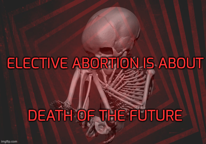 DEATH OF THE FUTURE ELECTIVE ABORTION IS ABOUT | made w/ Imgflip meme maker