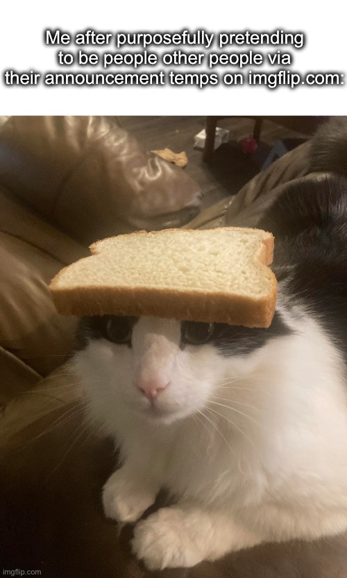 bread cat | Me after purposefully pretending to be people other people via their announcement temps on imgflip.com: | image tagged in bread cat | made w/ Imgflip meme maker