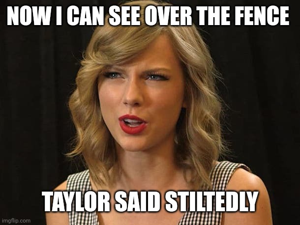 Taylor said stiltedly | NOW I CAN SEE OVER THE FENCE; TAYLOR SAID STILTEDLY | image tagged in taylor swiftie | made w/ Imgflip meme maker