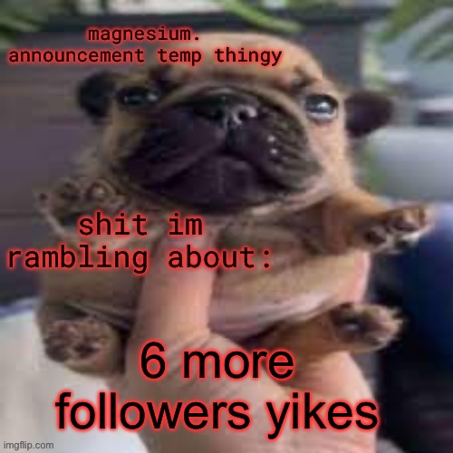 till face rev | 6 more followers yikes | image tagged in pug temp | made w/ Imgflip meme maker