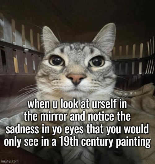 every night, but thats just from being sleep deprived cuz i stay up till 2 listening to music | when u look at urself in the mirror and notice the sadness in yo eyes that you would only see in a 19th century painting | image tagged in zazu staring | made w/ Imgflip meme maker