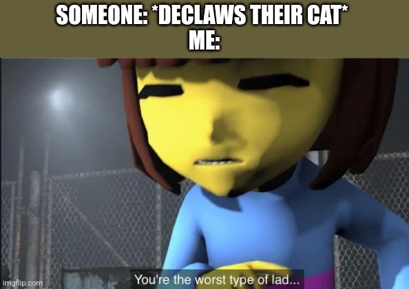 Youre the worst type of lad... | SOMEONE: *DECLAWS THEIR CAT* 
ME: | image tagged in youre the worst type of lad | made w/ Imgflip meme maker