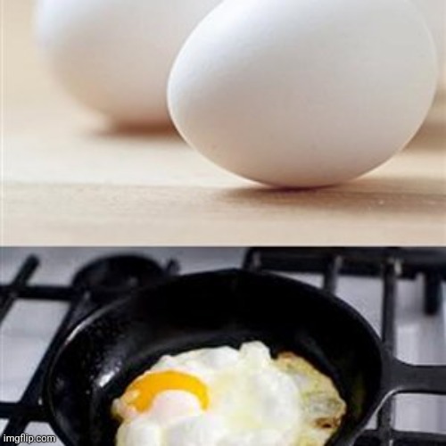 Brain, Brain on Drugs (egg) | image tagged in brain brain on drugs egg | made w/ Imgflip meme maker