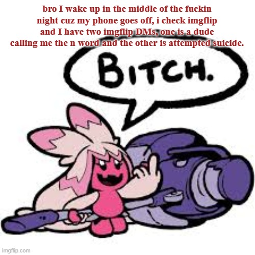 tinkaton bitch | bro I wake up in the middle of the fuckin night cuz my phone goes off, i check imgflip and I have two imgflip DMs, one is a dude calling me the n word and the other is attempted suicide. | image tagged in tinkaton bitch | made w/ Imgflip meme maker